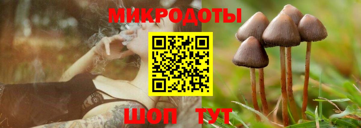 Галлюциногенные грибы Psilocybine cubensis Родники